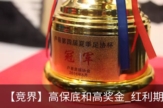 【竞界】高保底和高奖金 红利期的世界杯裁判