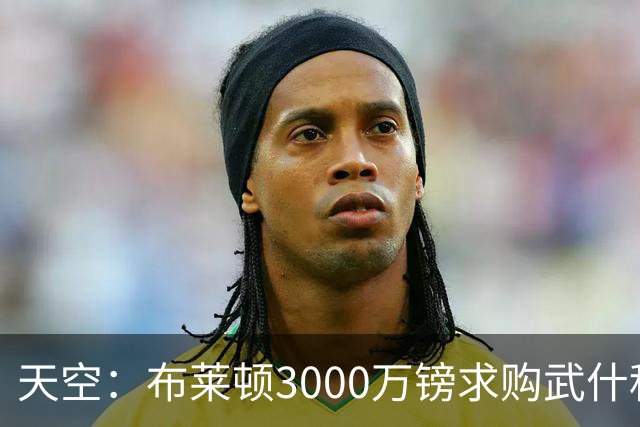 天空：布莱顿3000万镑求购武什科维奇，预计热刺对其估值超6000万